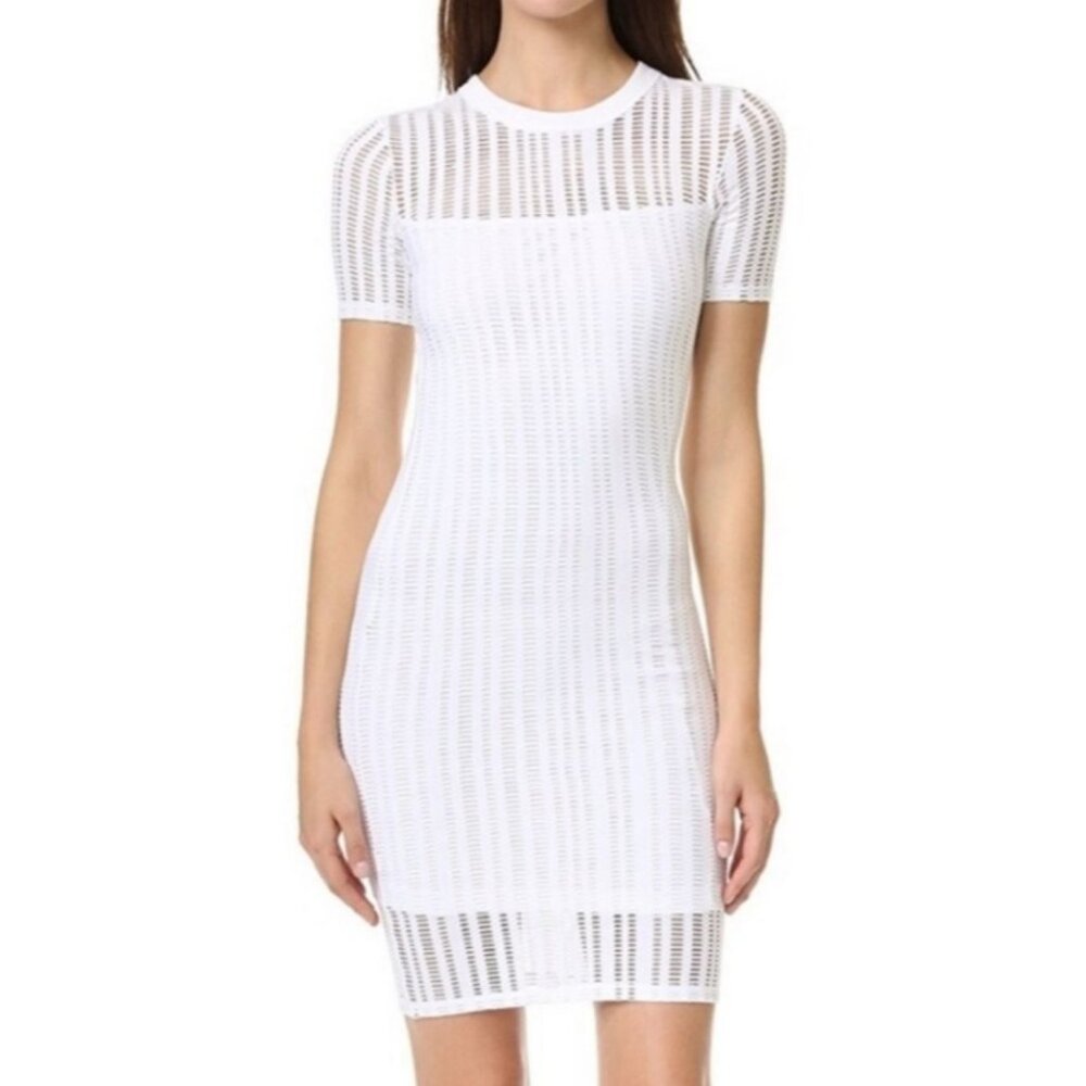 T Alexander Wang Perforated Torn Laser Cut Crochet Open-Work Dress Ivory Small